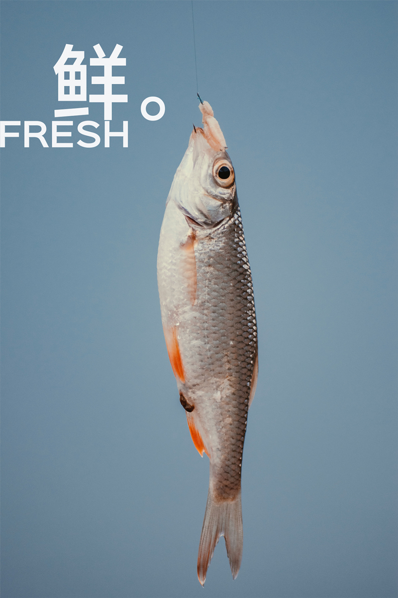 1681202834116263.jpg 反彈后的.jpg