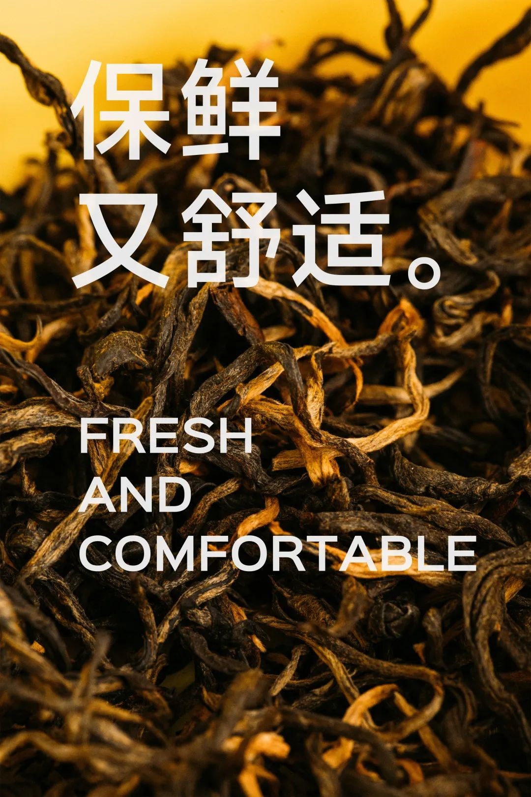 1681203646139577.jpg asdfasdfasdf.jpg